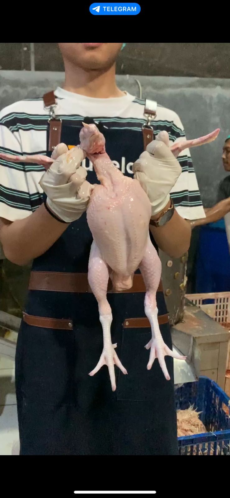 Ayam Bonggol