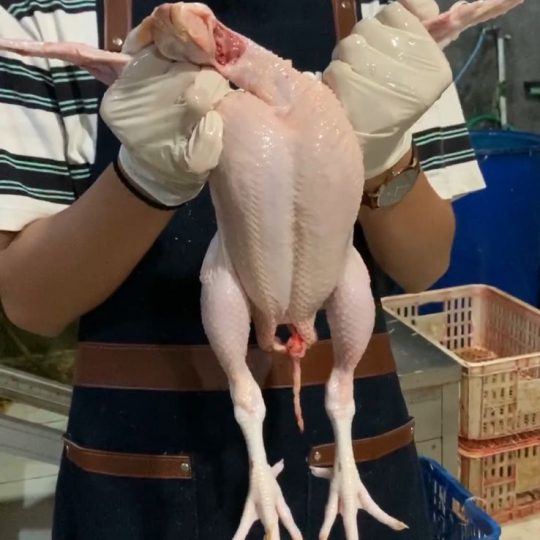 Ayam Palcek